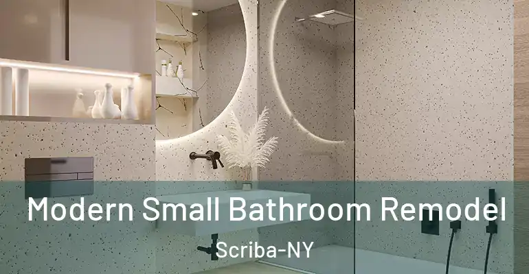 inner Bathroom imggen Modern Small Bathroom Remodel Scriba-NY