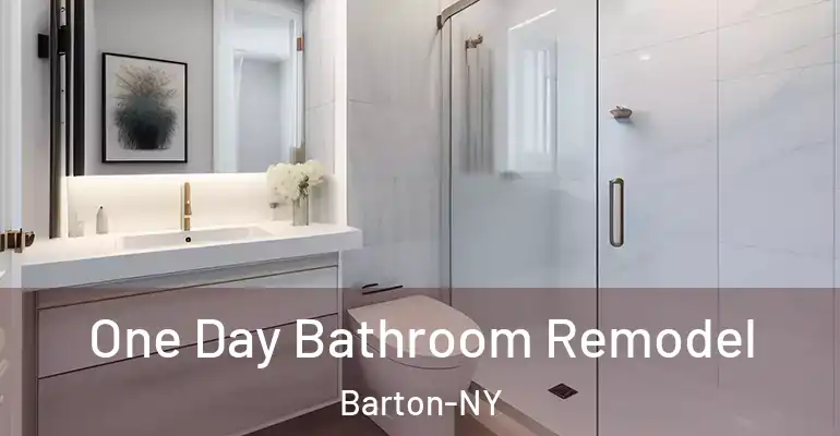 inner Bathroom imggen One Day Bathroom Remodel Barton-NY