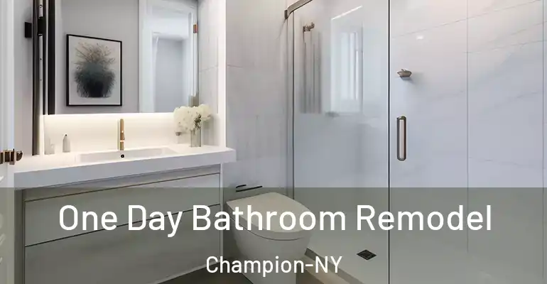 inner Bathroom imggen One Day Bathroom Remodel Champion-NY