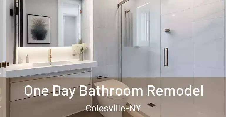inner Bathroom imggen One Day Bathroom Remodel Colesville-NY