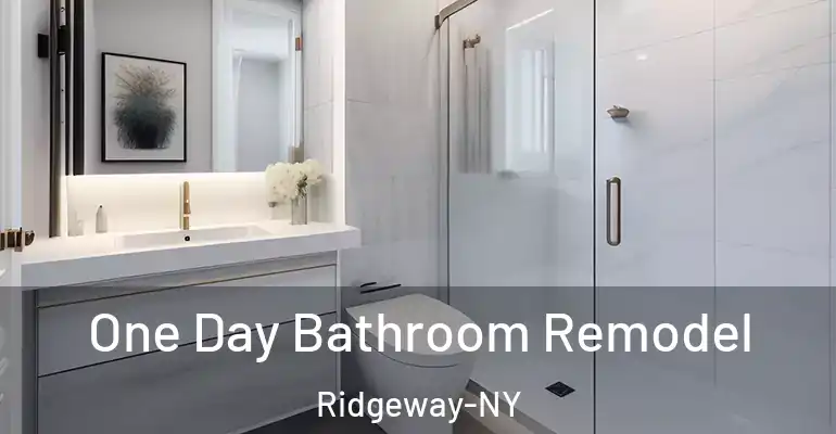 inner Bathroom imggen One Day Bathroom Remodel Ridgeway-NY
