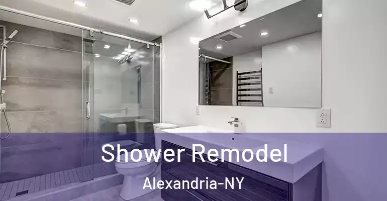 inner Bathroom imggen Shower Remodel Alexandria-NY