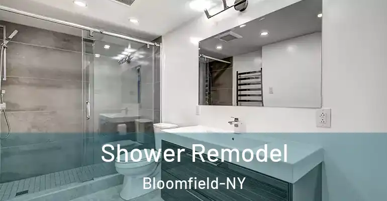 inner Bathroom imggen Shower Remodel Bloomfield-NY