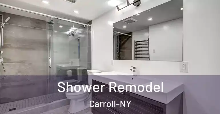 inner Bathroom imggen Shower Remodel Carroll-NY