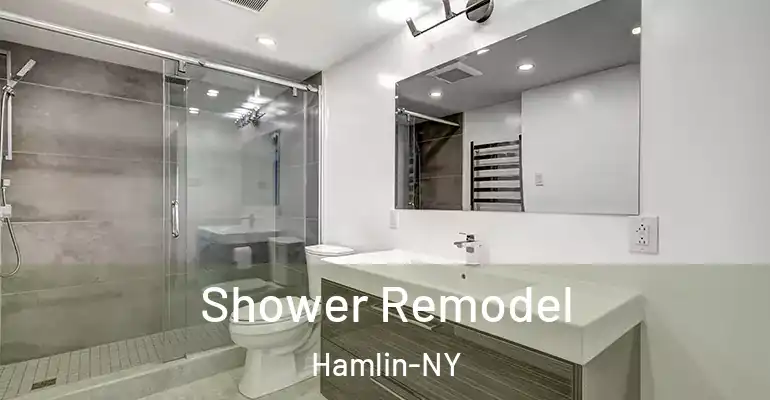 inner Bathroom imggen Shower Remodel Hamlin-NY