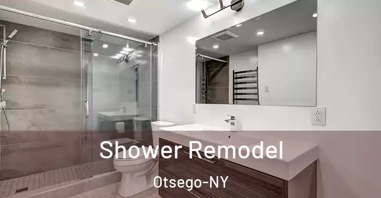 inner Bathroom imggen Shower Remodel Otsego-NY