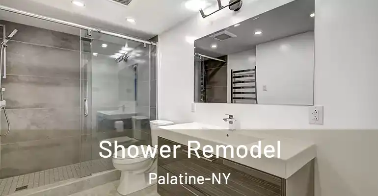 inner Bathroom imggen Shower Remodel Palatine-NY