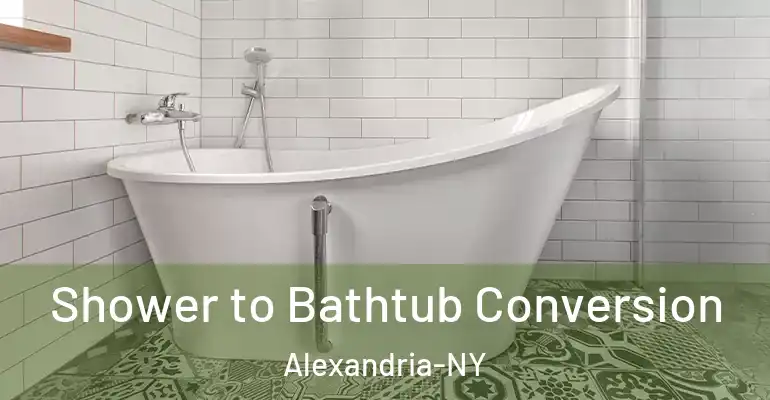inner Bathroom imggen Shower to Bathtub Conversion Alexandria-NY