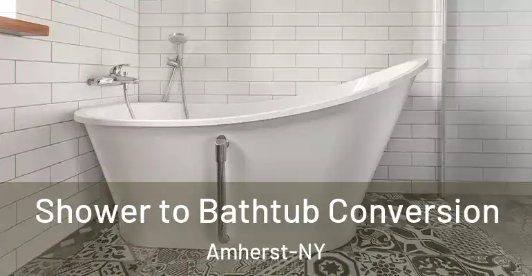 inner Bathroom imggen Shower to Bathtub Conversion Amherst-NY