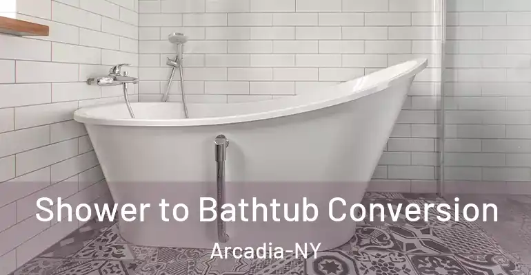 inner Bathroom imggen Shower to Bathtub Conversion Arcadia-NY