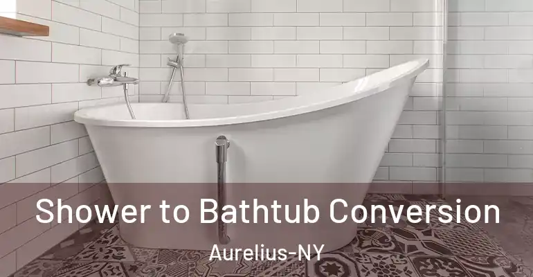 inner Bathroom imggen Shower to Bathtub Conversion Aurelius-NY
