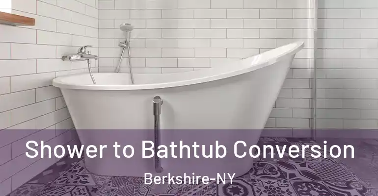 inner Bathroom imggen Shower to Bathtub Conversion Berkshire-NY