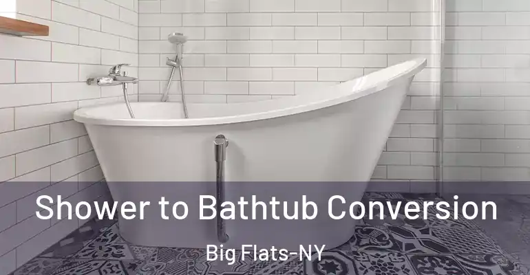 inner Bathroom imggen Shower to Bathtub Conversion Big Flats-NY