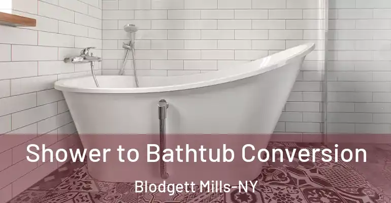 inner Bathroom imggen Shower to Bathtub Conversion Blodgett Mills-NY