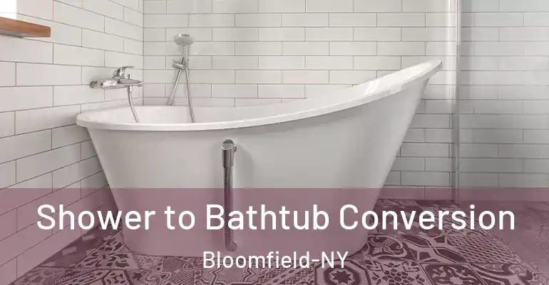 inner Bathroom imggen Shower to Bathtub Conversion Bloomfield-NY
