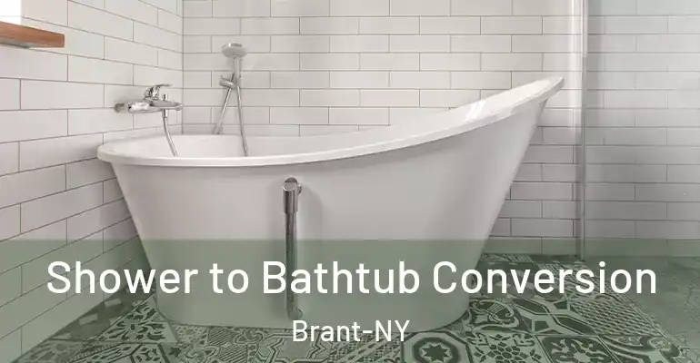 inner Bathroom imggen Shower to Bathtub Conversion Brant-NY