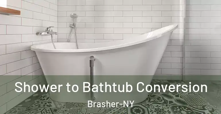 inner Bathroom imggen Shower to Bathtub Conversion Brasher-NY