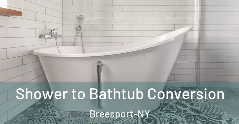 inner Bathroom imggen Shower to Bathtub Conversion Breesport-NY