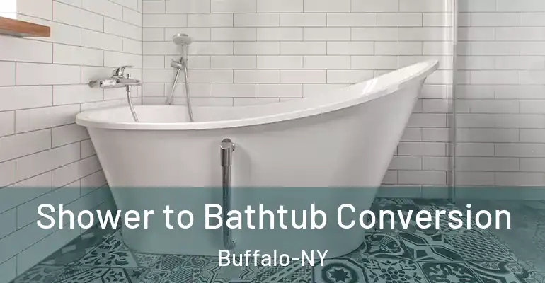 inner Bathroom imggen Shower to Bathtub Conversion Buffalo-NY