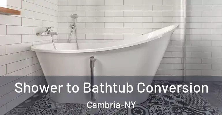 inner Bathroom imggen Shower to Bathtub Conversion Cambria-NY