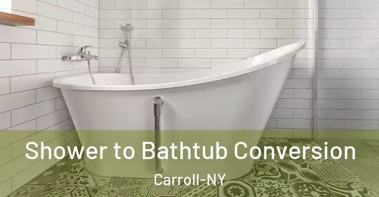inner Bathroom imggen Shower to Bathtub Conversion Carroll-NY