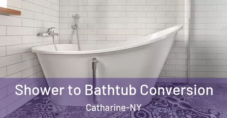 inner Bathroom imggen Shower to Bathtub Conversion Catharine-NY