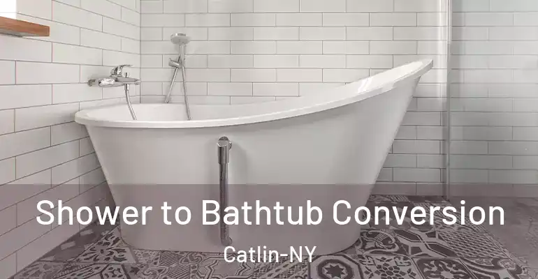 inner Bathroom imggen Shower to Bathtub Conversion Catlin-NY