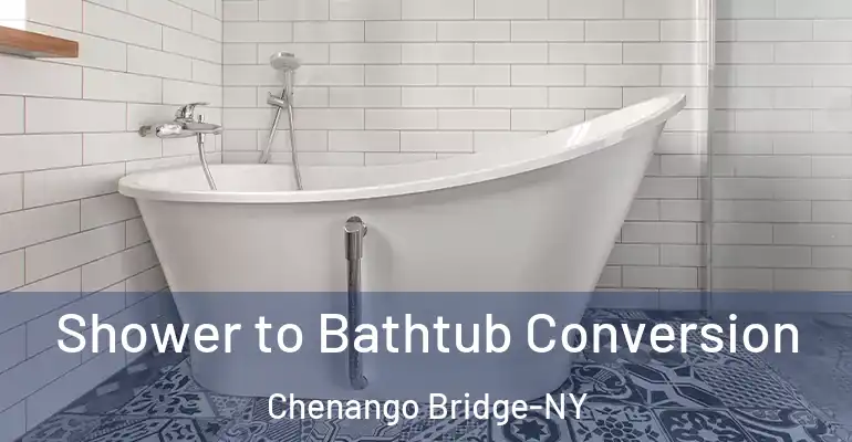 inner Bathroom imggen Shower to Bathtub Conversion Chenango Bridge-NY