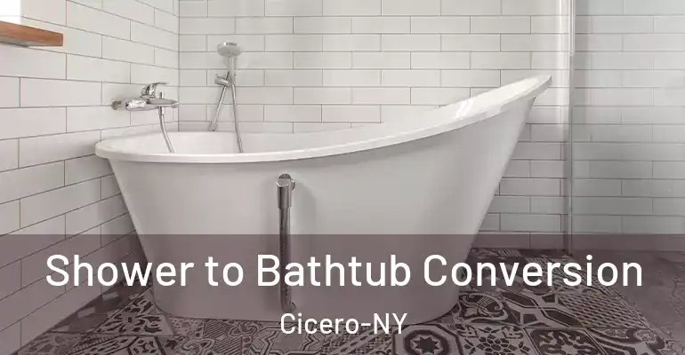 inner Bathroom imggen Shower to Bathtub Conversion Cicero-NY
