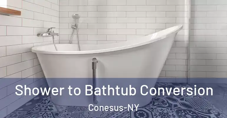 inner Bathroom imggen Shower to Bathtub Conversion Conesus-NY