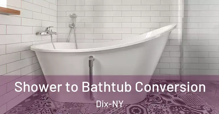 inner Bathroom imggen Shower to Bathtub Conversion Dix-NY