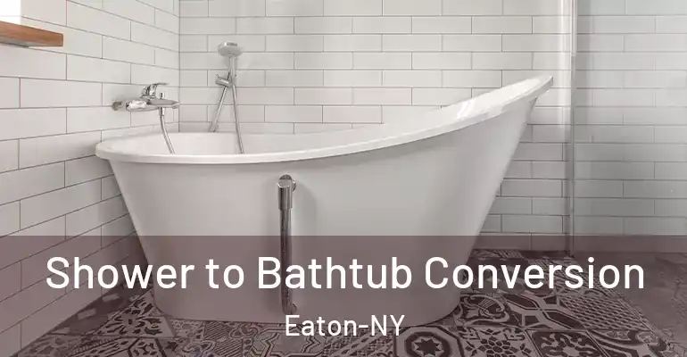 inner Bathroom imggen Shower to Bathtub Conversion Eaton-NY
