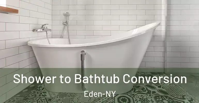 inner Bathroom imggen Shower to Bathtub Conversion Eden-NY