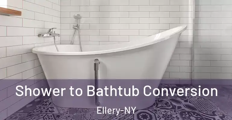 inner Bathroom imggen Shower to Bathtub Conversion Ellery-NY