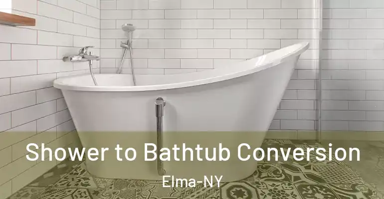 inner Bathroom imggen Shower to Bathtub Conversion Elma-NY