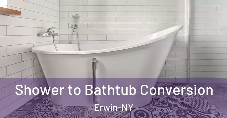 inner Bathroom imggen Shower to Bathtub Conversion Erwin-NY