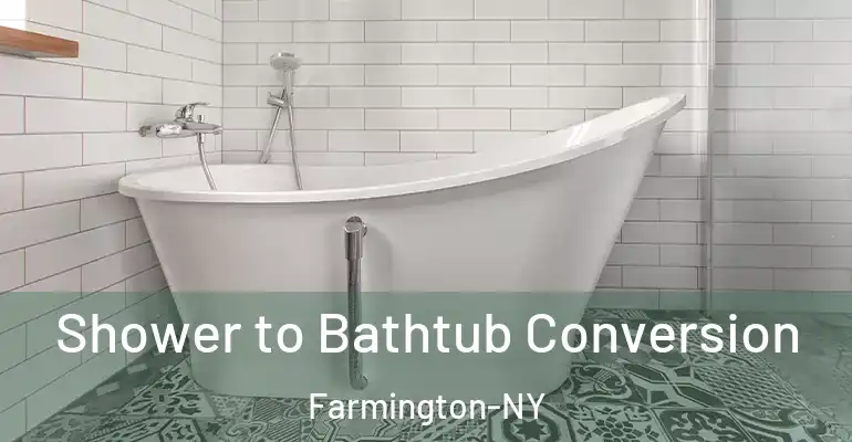 inner Bathroom imggen Shower to Bathtub Conversion Farmington-NY