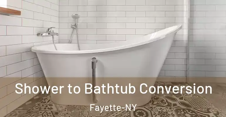 inner Bathroom imggen Shower to Bathtub Conversion Fayette-NY