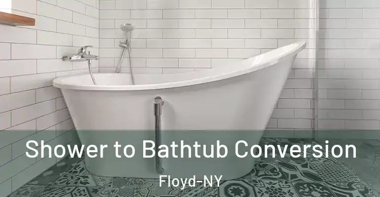 inner Bathroom imggen Shower to Bathtub Conversion Floyd-NY
