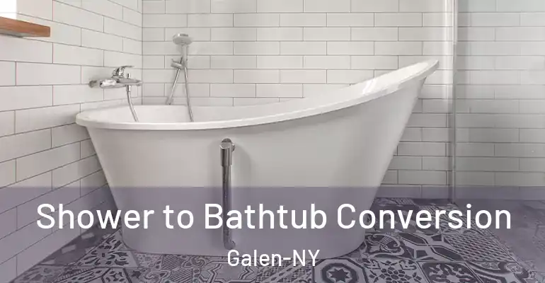 inner Bathroom imggen Shower to Bathtub Conversion Galen-NY
