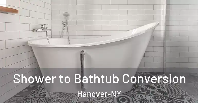 inner Bathroom imggen Shower to Bathtub Conversion Hanover-NY