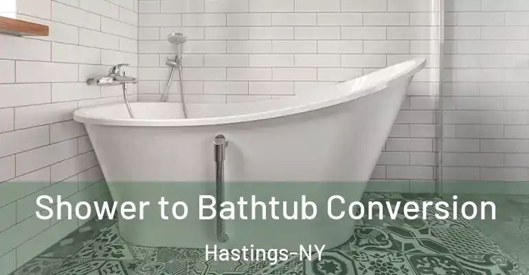 inner Bathroom imggen Shower to Bathtub Conversion Hastings-NY