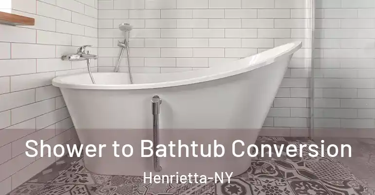 inner Bathroom imggen Shower to Bathtub Conversion Henrietta-NY