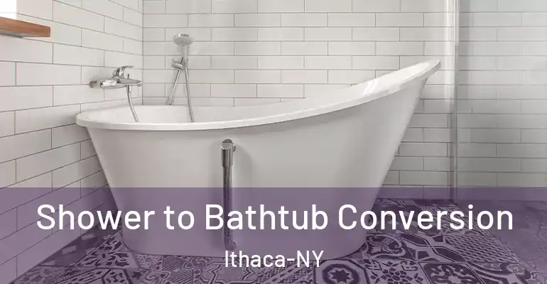 inner Bathroom imggen Shower to Bathtub Conversion Ithaca-NY