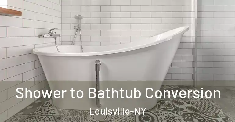 inner Bathroom imggen Shower to Bathtub Conversion Louisville-NY