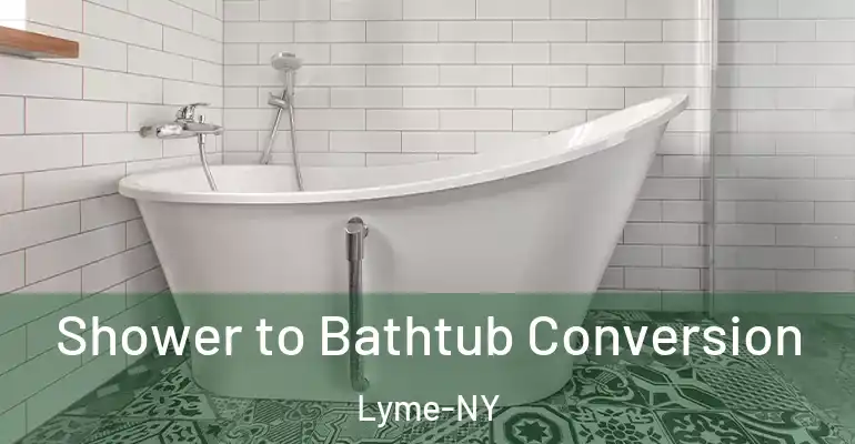 inner Bathroom imggen Shower to Bathtub Conversion Lyme-NY
