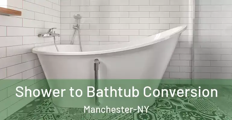 inner Bathroom imggen Shower to Bathtub Conversion Manchester-NY