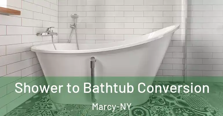 inner Bathroom imggen Shower to Bathtub Conversion Marcy-NY