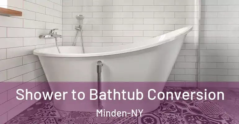 inner Bathroom imggen Shower to Bathtub Conversion Minden-NY