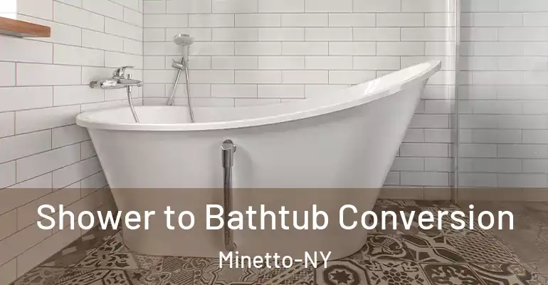 inner Bathroom imggen Shower to Bathtub Conversion Minetto-NY